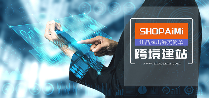 为什么亚马逊卖家想做独立站？看完这篇文章你就明白了！