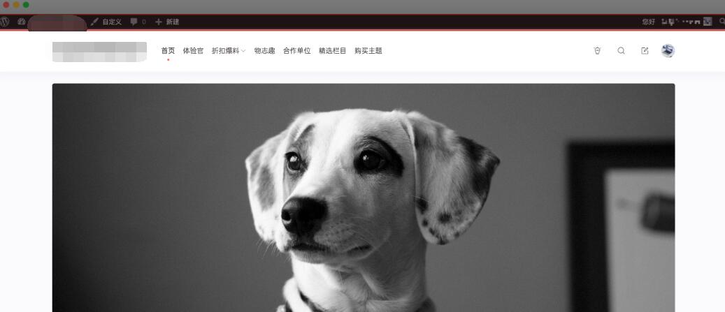 WordPress顶部工具栏关闭方法详解