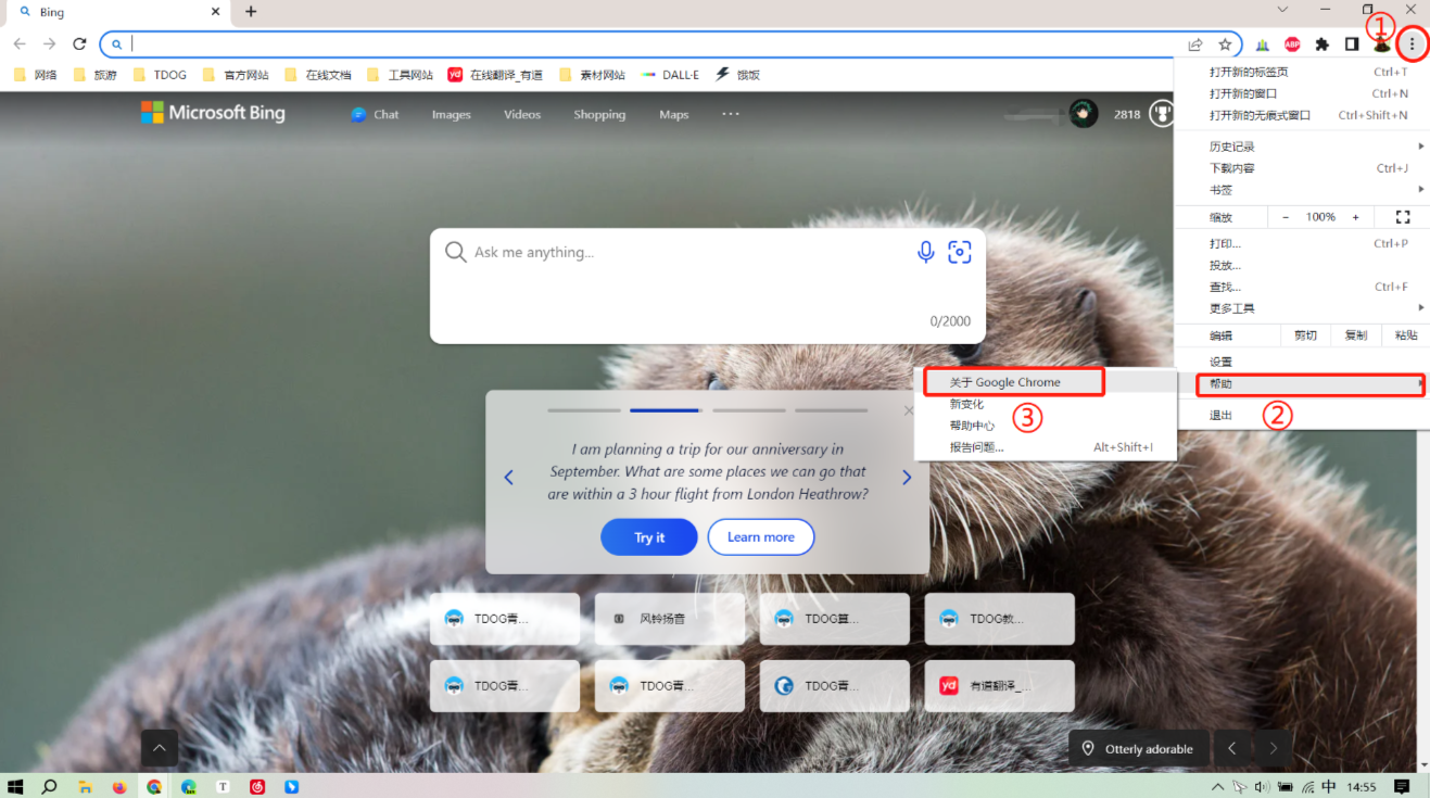chromedriver下载的安装及具体使用方法附国内分享