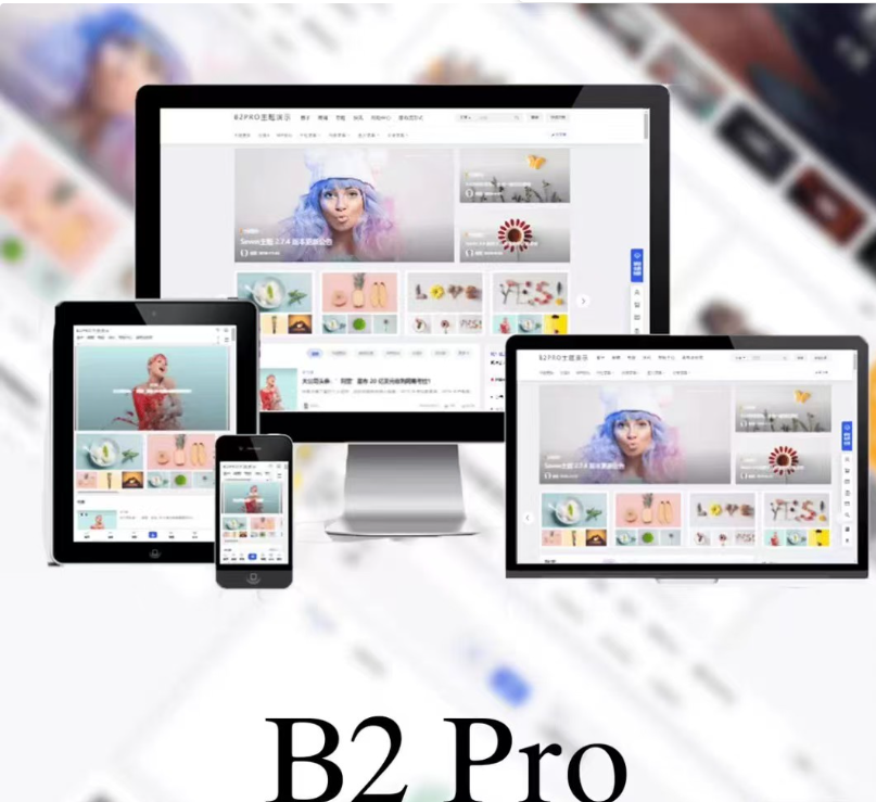 wordpress高端多功能7B2 PRO主题5.4.2 免授权开心版源码