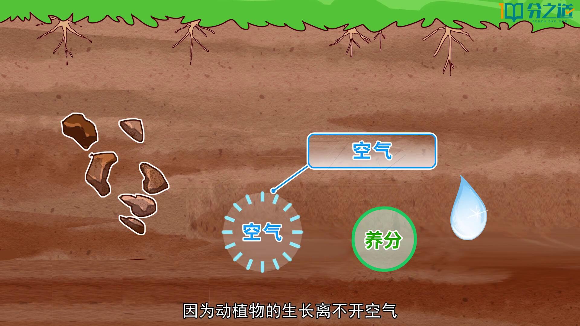 小学科学同步网课动画片 (1-6年级)