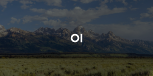 open-webui/open-webui