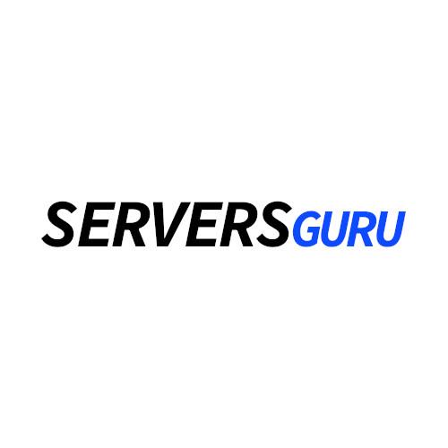 续费不涨价的七折：Servers.Guru 荷兰 10Gbps VPS 循环优惠，€3.84/月起