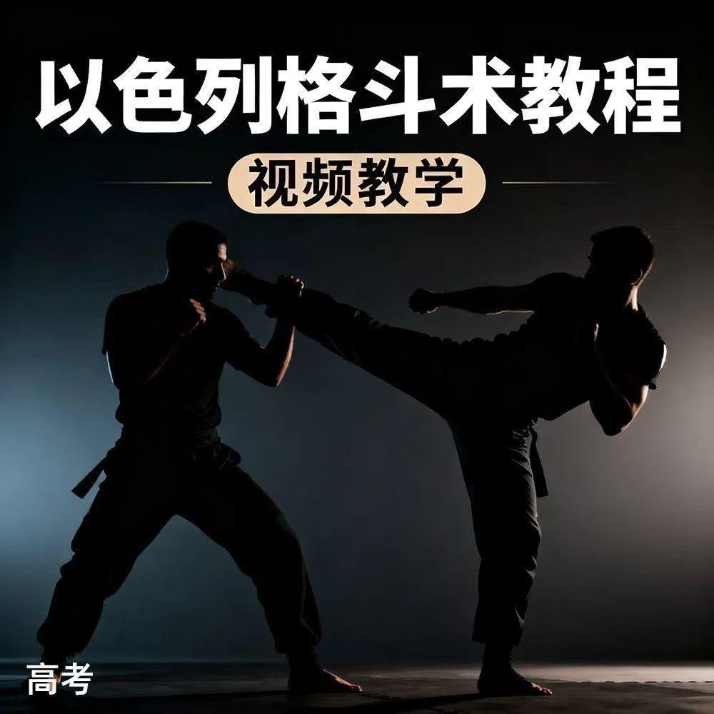 防身术以色列马伽术健身视频教程教学以色列格斗术