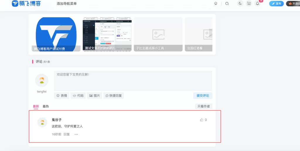 tengfei_down.jpg WordPress插件 – 自动评论插件_支持按板块评论